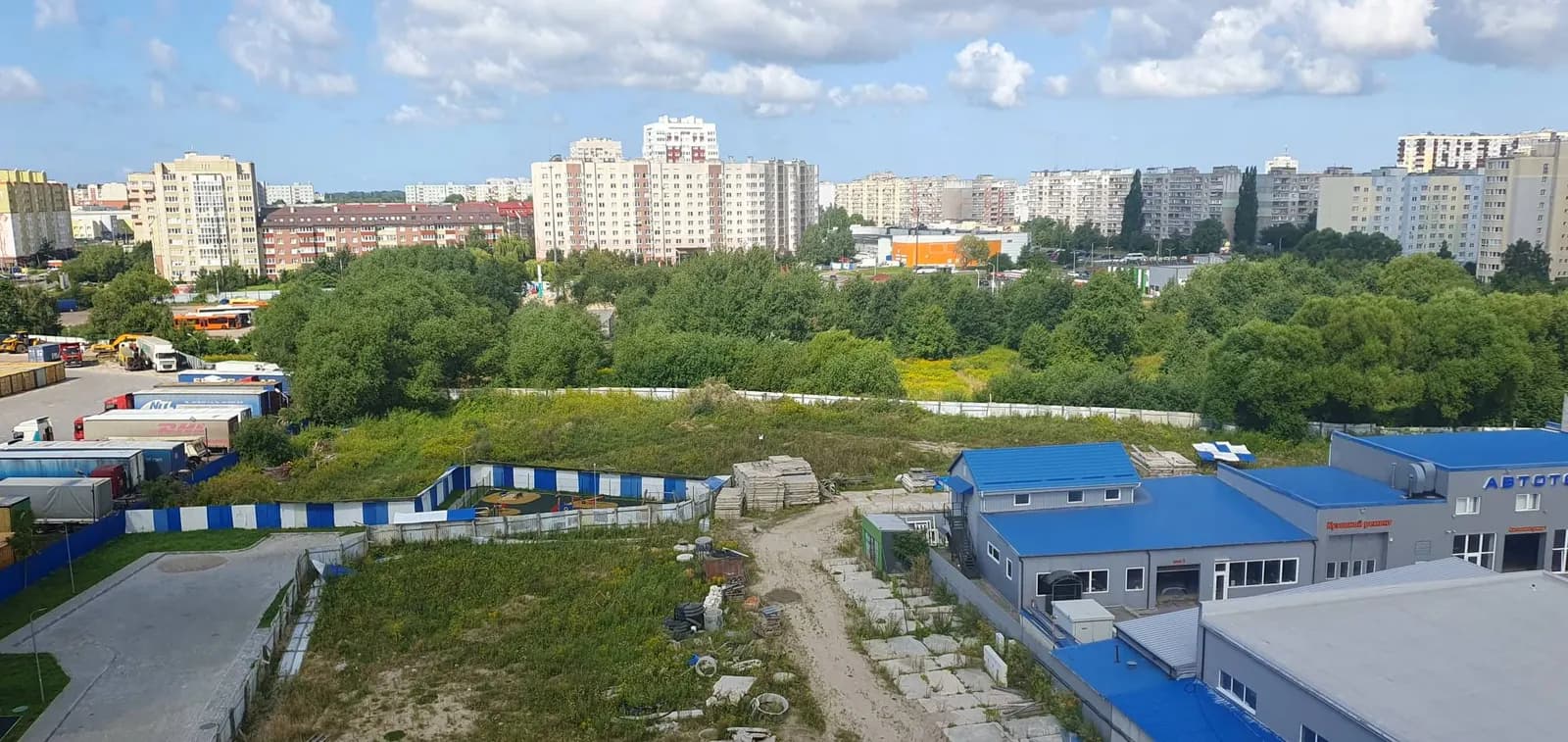 Синички, фото 4