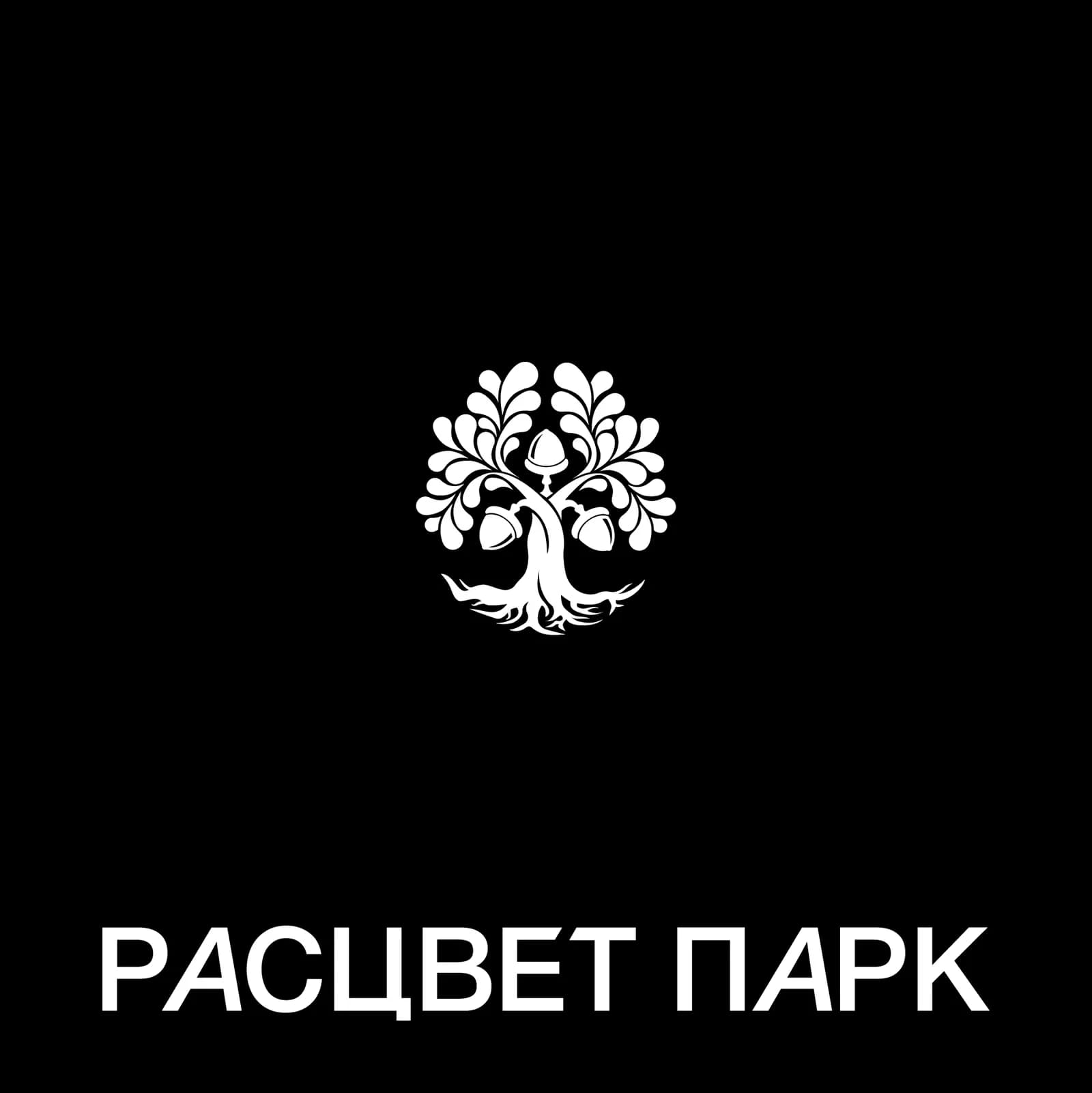 Логотип ДЕВЕЛОПЕР РАСЦВЕТ